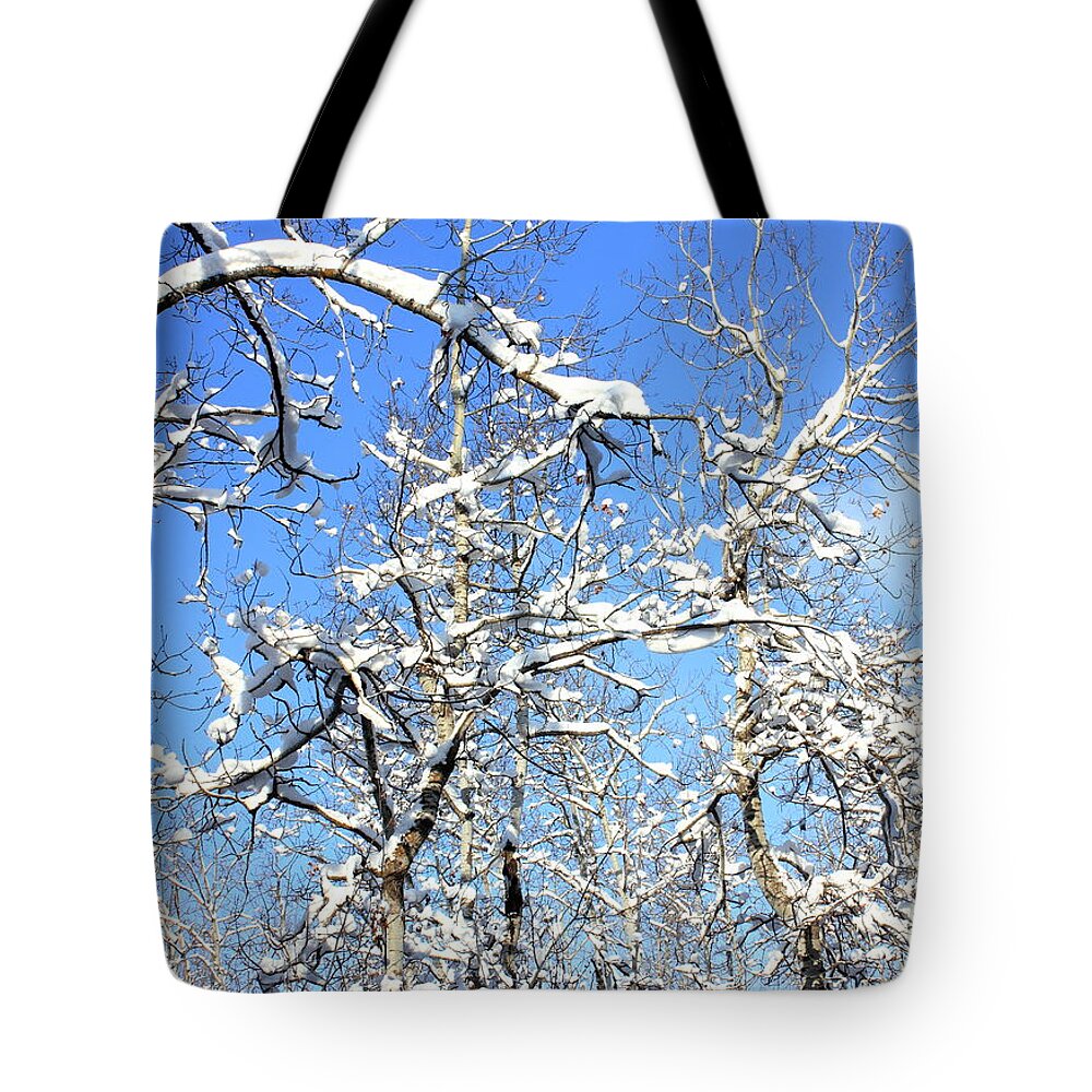  Tote Bag featuring the photograph Poplar Woods in Winter by Jim Sauchyn