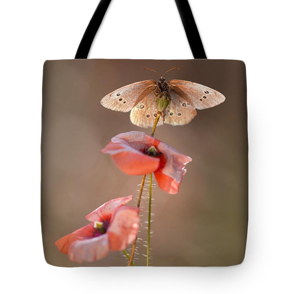 Flower Tote Bag featuring the photograph Poppies #1 by Jaroslaw Blaminsky