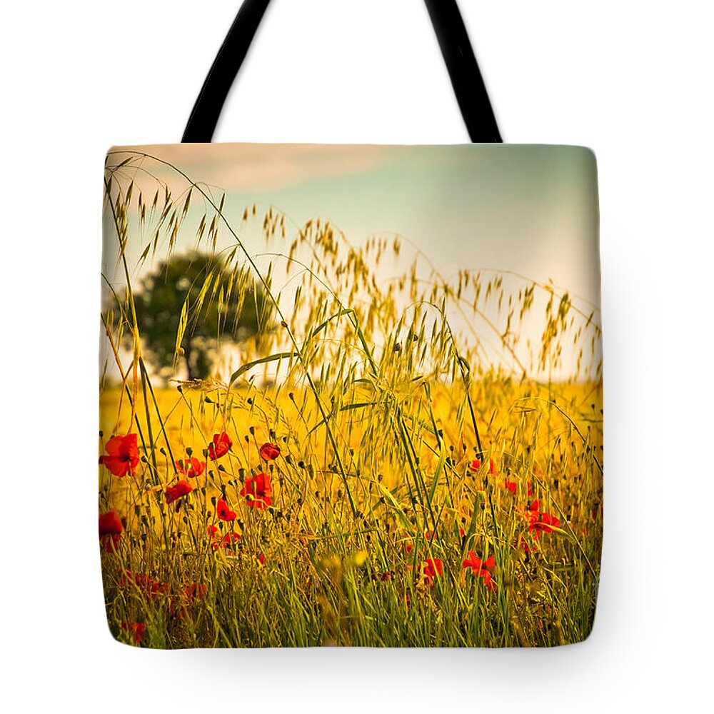 Field Tote Bag featuring the photograph Poppies with tree in the distance by Silvia Ganora