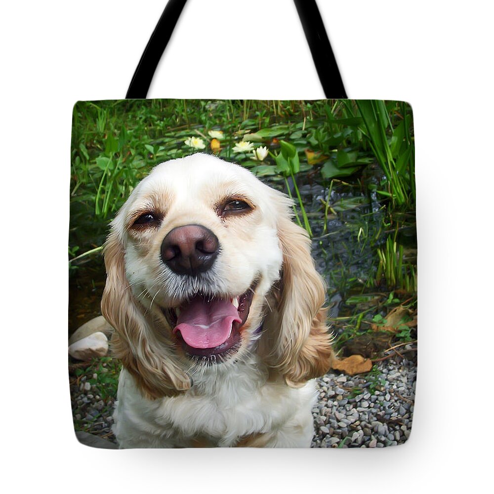 Cocker Spaniel Tote Bag featuring the photograph Porshe' by Aimee L Maher ALM GALLERY