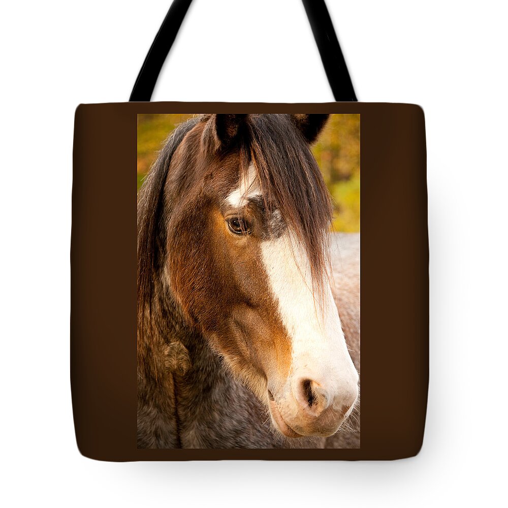 Horse Tote Bag featuring the photograph Portrait of a Clydesdale by Kristia Adams