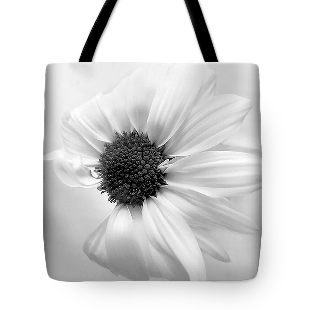 Daisy Tote Bag featuring the photograph Portrait of a Daisy by Louise Kumpf