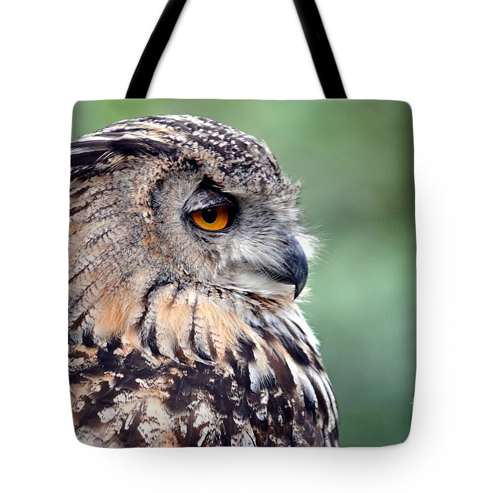 Jim Fitzpatrick Tote Bag featuring the photograph Portrait of a Great Horned Owl by Jim Fitzpatrick