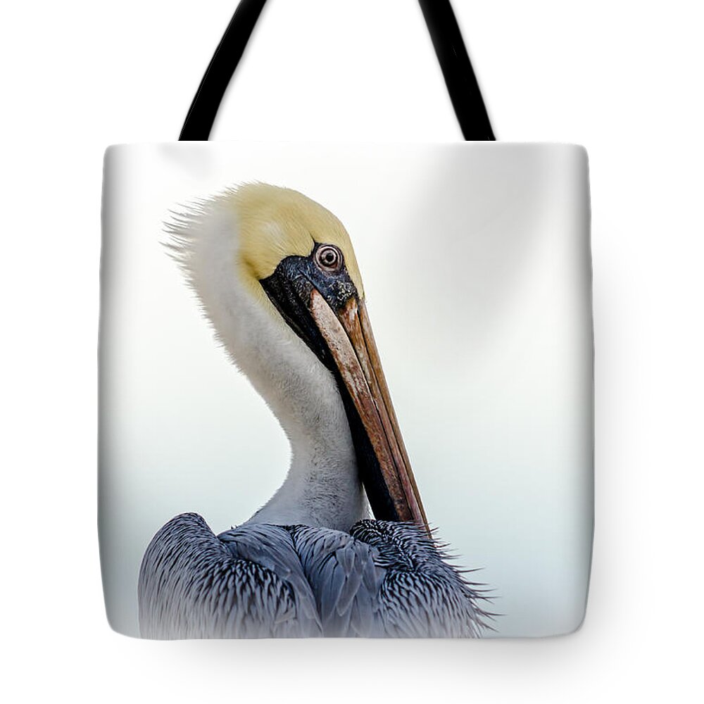 Portrait Of A Pelican Tote Bag featuring the photograph Portrait Of A Pelican by Debra Martz