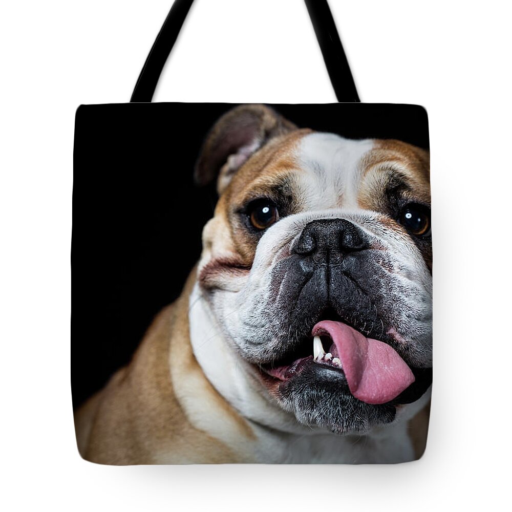 Pets Tote Bag featuring the photograph Portrait Of An English Bulldog by Alvarez