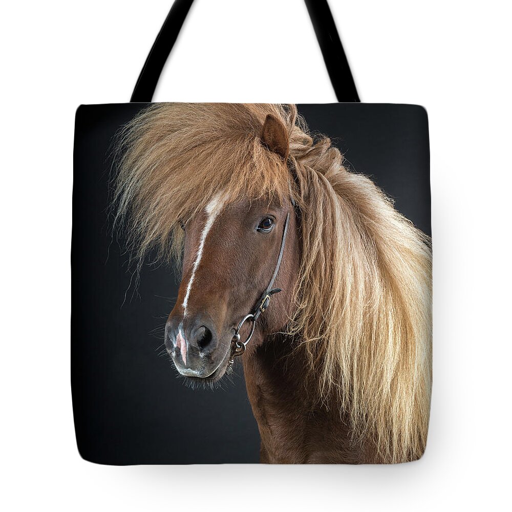 Horse Tote Bag featuring the photograph Portrait Of Icelandic Horse, Iceland by Arctic-images