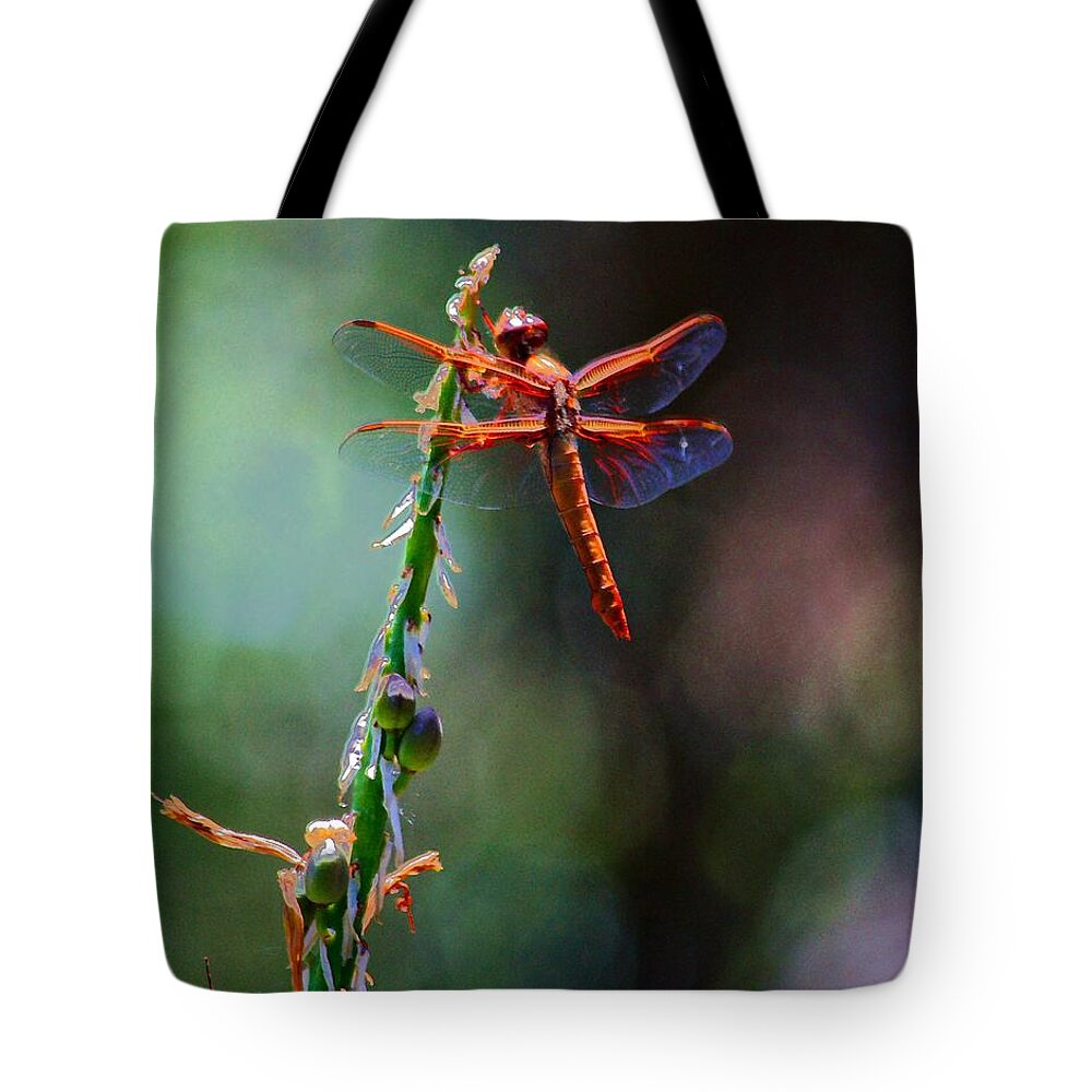 Red Dragonfly Tote Bag featuring the photograph Positive Forces by Patrick Witz