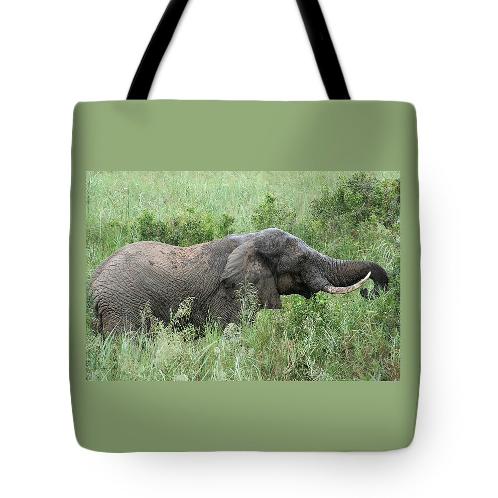Elephant Tote Bag featuring the photograph Post Mud Bath Appetite by Suanne Forster