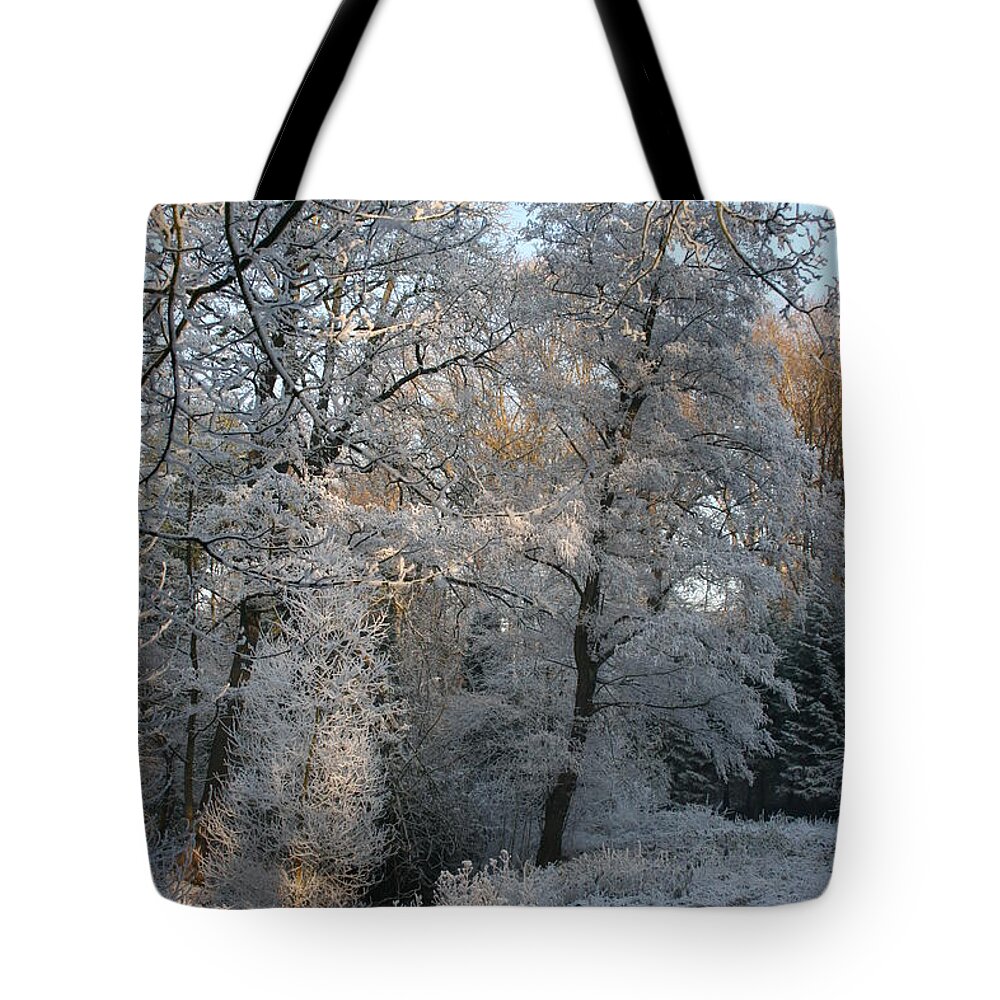 Landscape Tote Bag featuring the photograph Powdered With Snow by Christiane Schulze Art And Photography