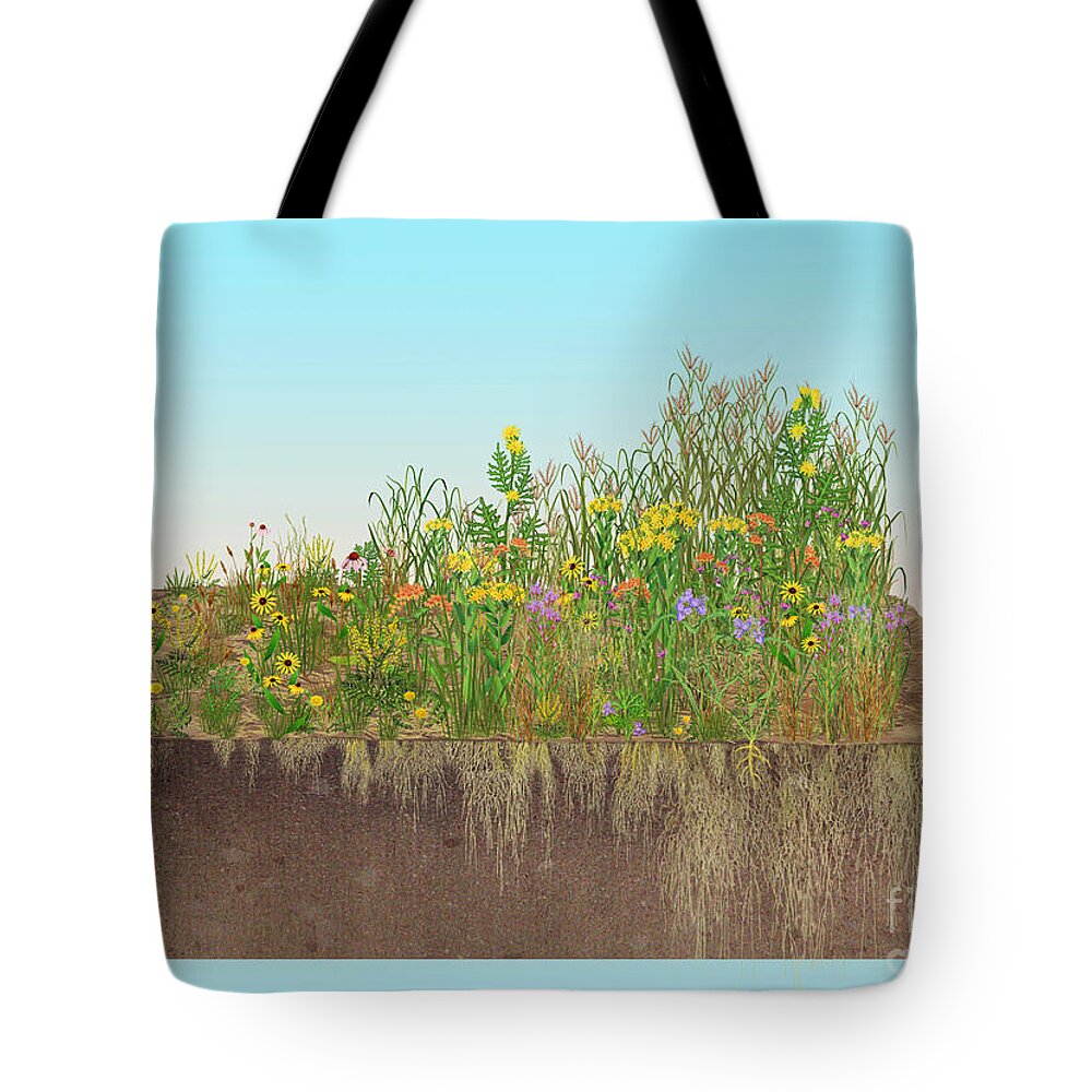 Prairie Tote Bag featuring the photograph Prairie Plants Succession, Illustration by Carlyn Iverson