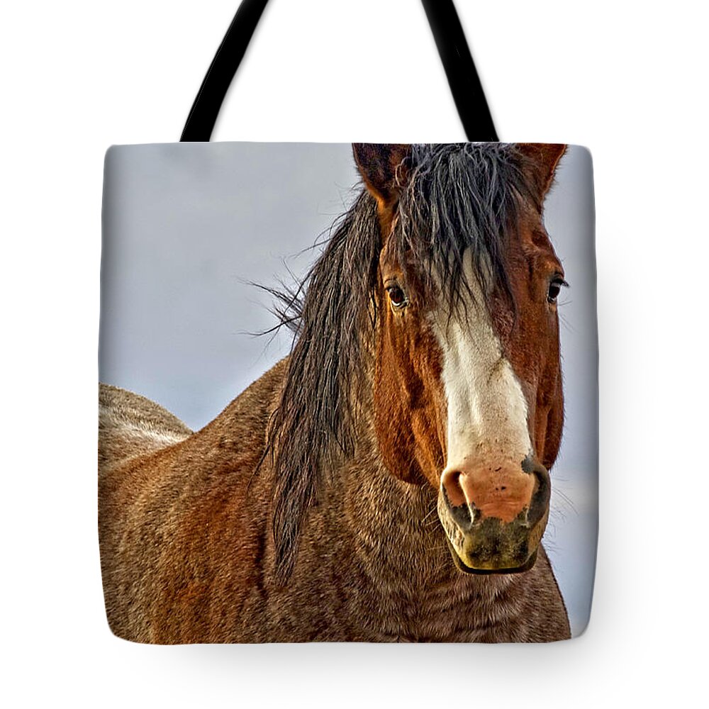 Winter's Edge Tote Bag featuring the photograph Winter's Edge by Amanda Smith
