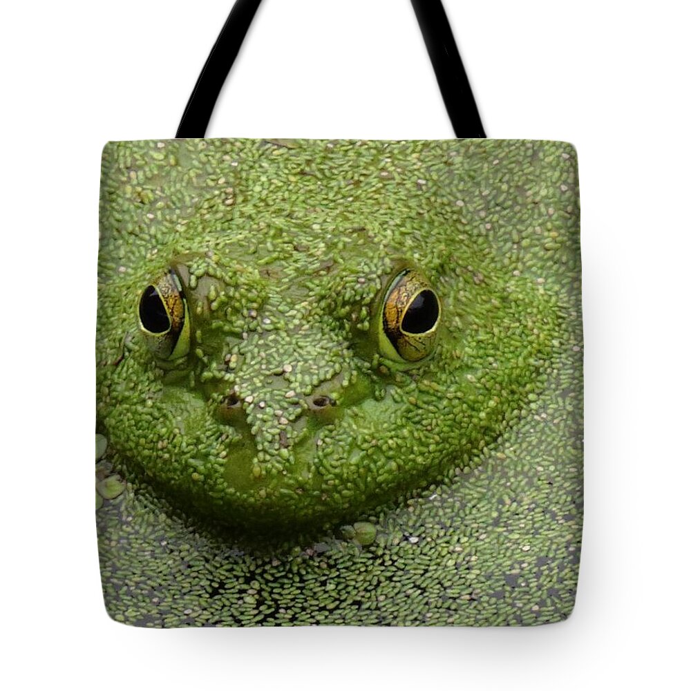 Bullfrog Tote Bag featuring the digital art Predator by I'ina Van Lawick