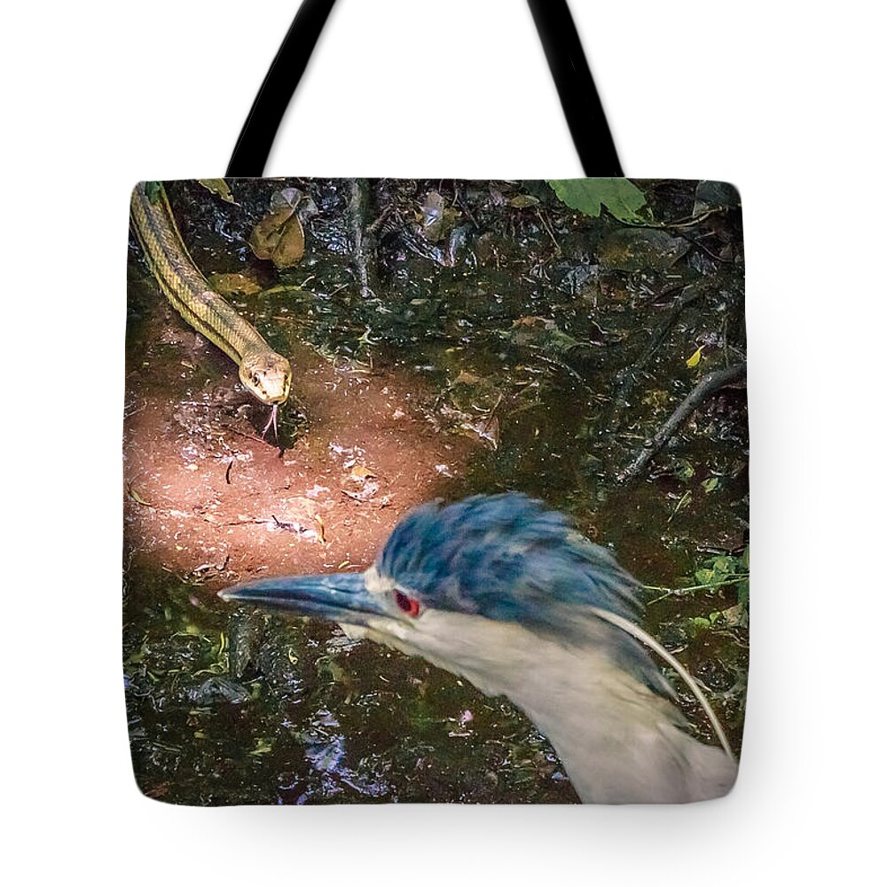 Adult Tote Bag featuring the photograph Predator Or Prey by Traveler's Pics