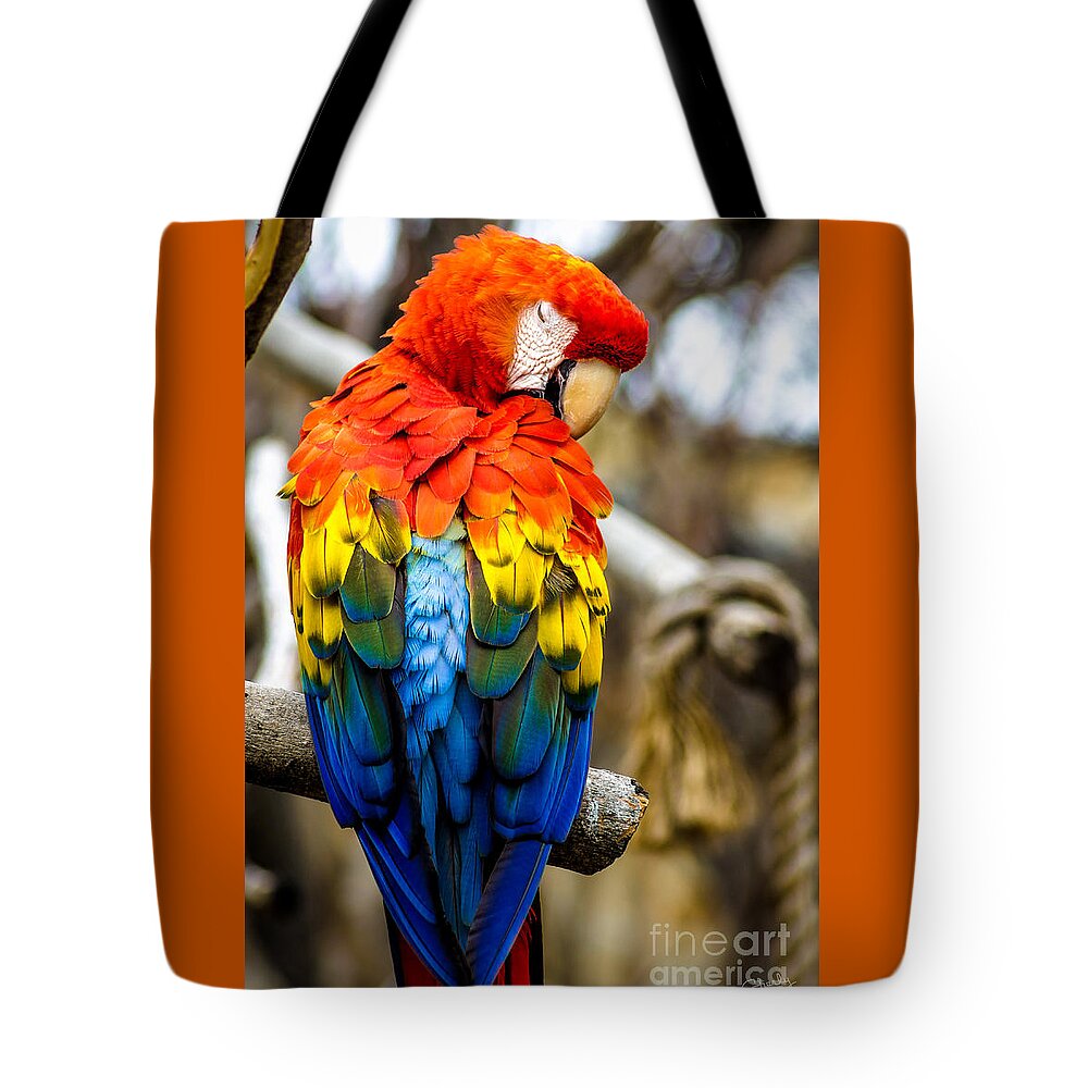 Scarlet Macaw Tote Bag featuring the photograph Preening Tropicana Macaw by Imagery by Charly