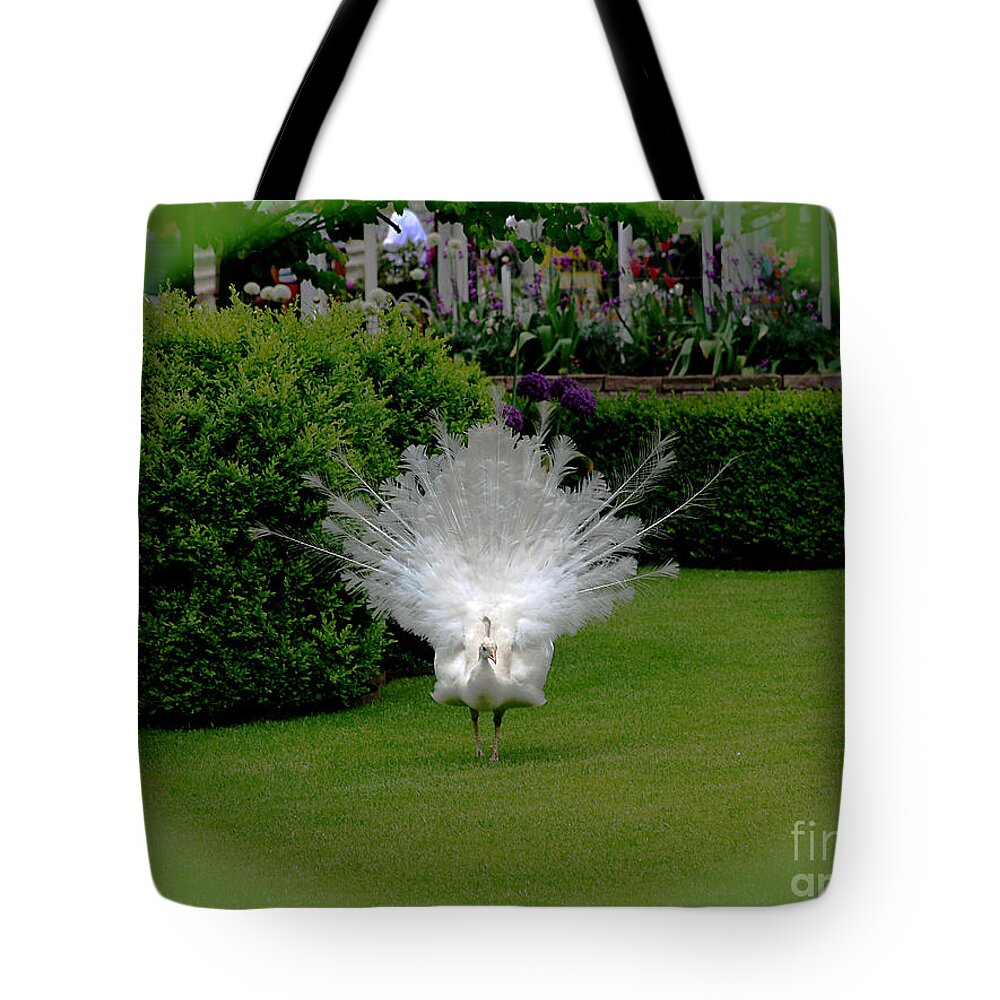 Pretty As A Peacock Tote Bag featuring the photograph Pretty as a Peacock by Victoria Harrington