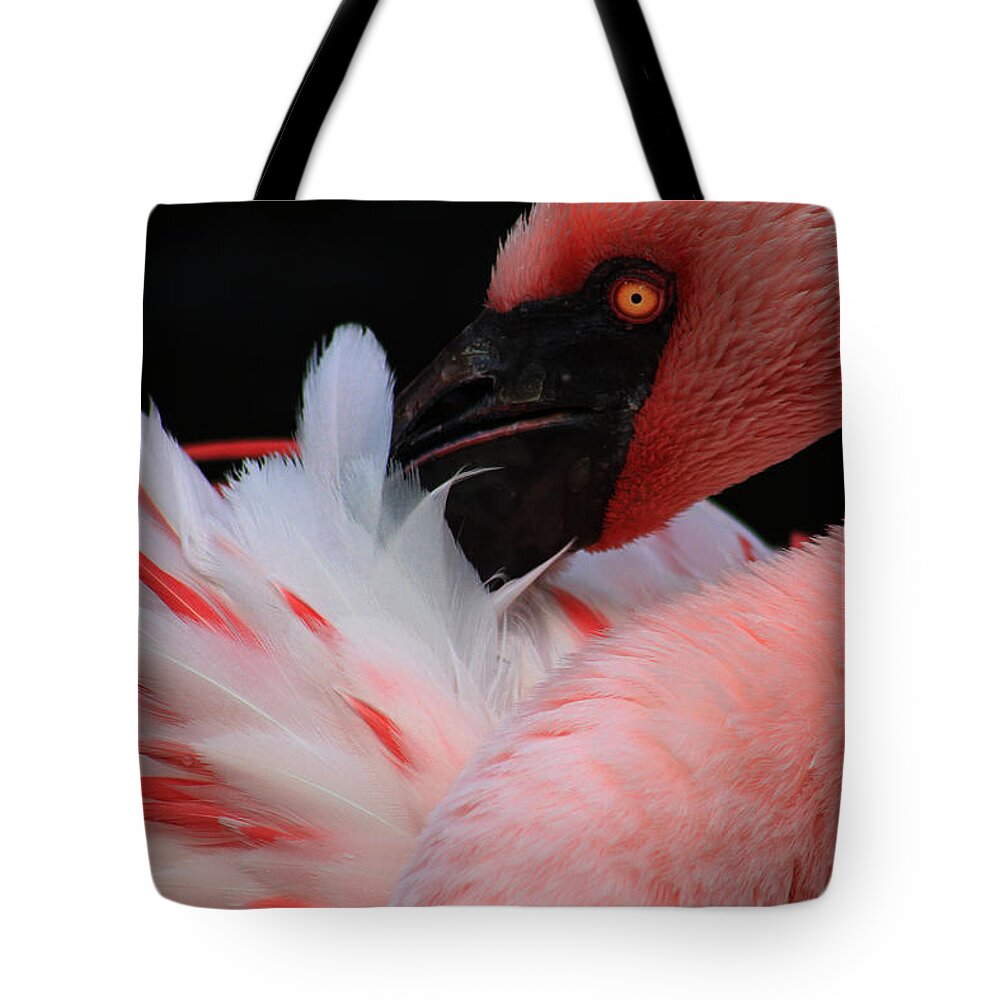 Bird Tote Bag featuring the photograph Pretty in Pink by Alyce Taylor