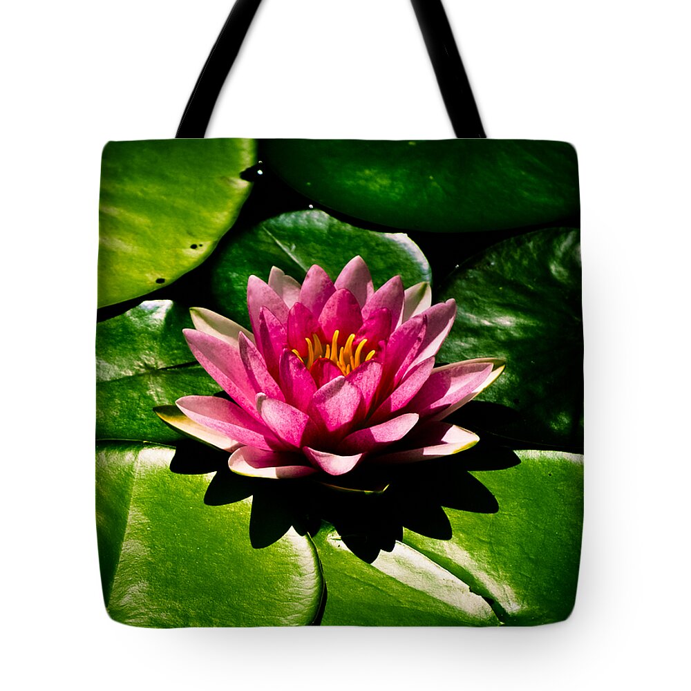 Aquatic Tote Bag featuring the photograph Pretty in Pink by Christi Kraft