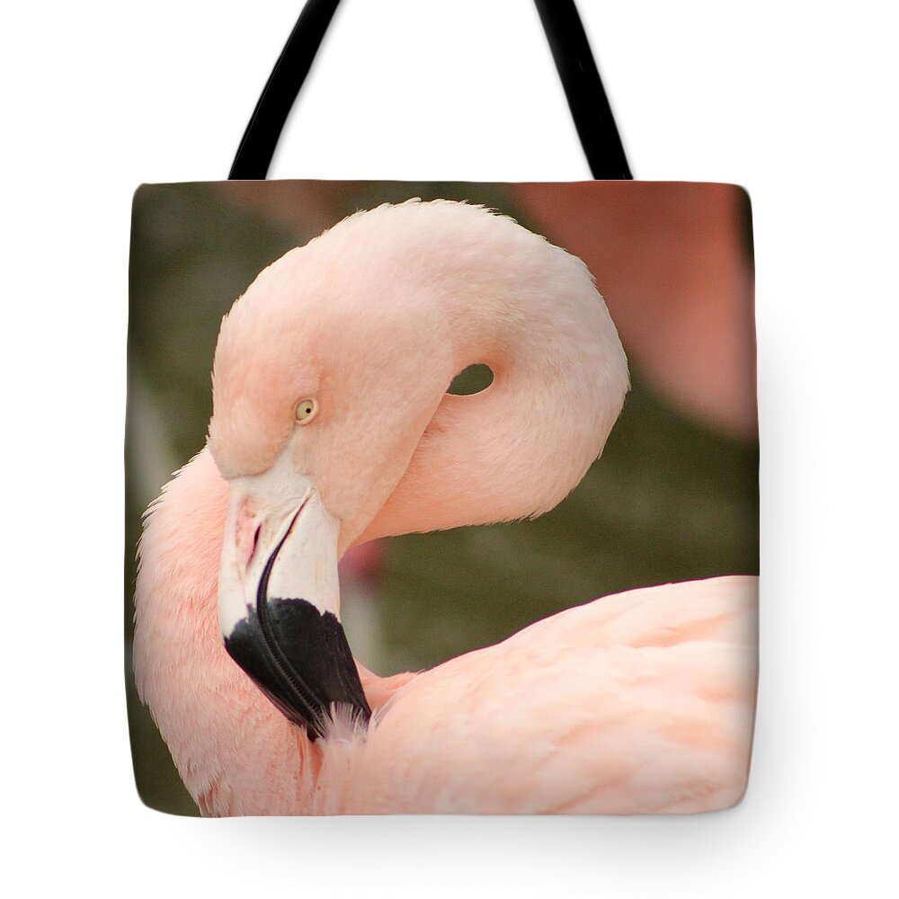 Animal Tote Bag featuring the photograph Pretty in Pink by Deana Glenz