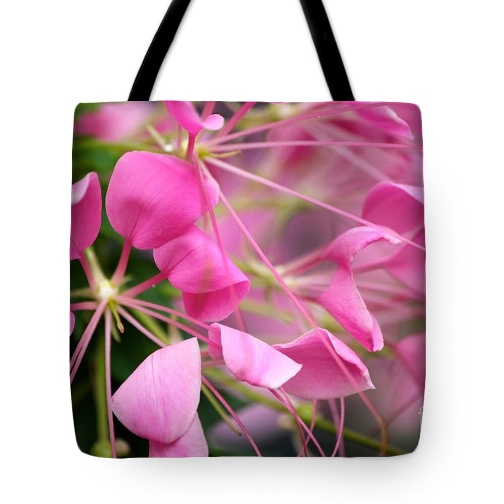Pink Flowers Tote Bag featuring the photograph Pretty in pink by Deena Withycombe