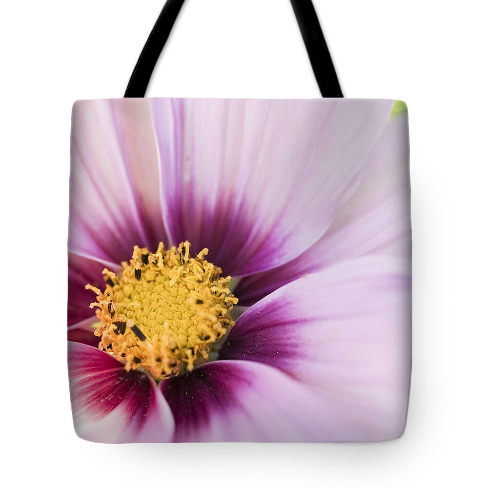 Flower Tote Bag featuring the photograph Pretty In Pink by Tara Lynn