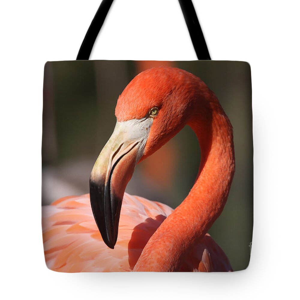 Flamingo Tote Bag featuring the photograph Pretty Pose by Jayne Carney