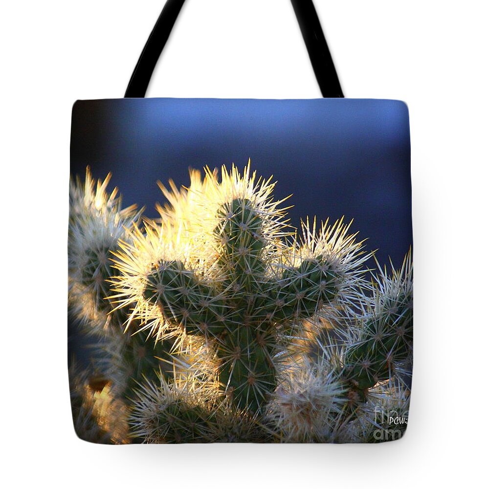 Prickly Sunset Tote Bag featuring the photograph Prickly Sunset by Patrick Witz