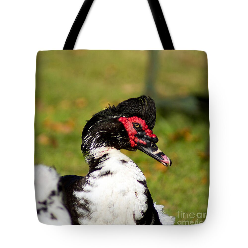 Fowl Tote Bag featuring the photograph Primped by Joe Geraci