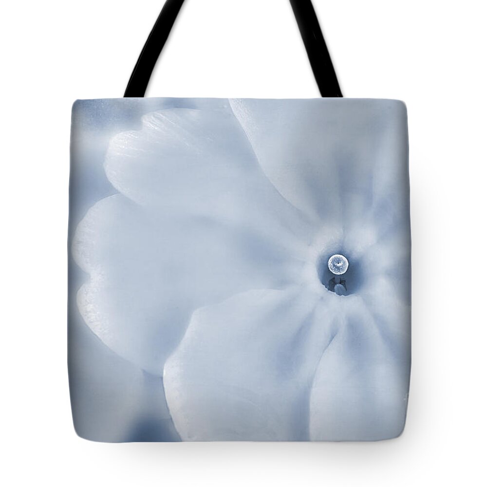 Primula Vulgaris Tote Bag featuring the photograph Primrose Cyanotype by John Edwards