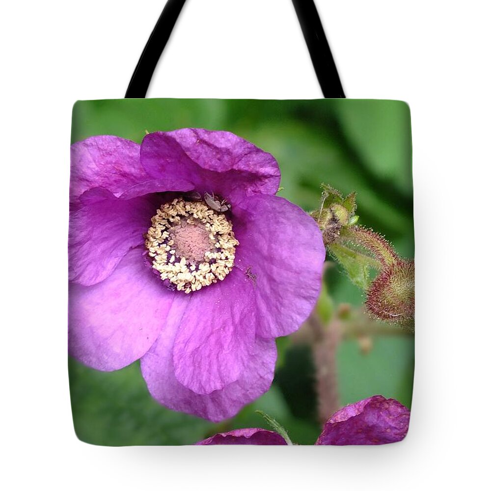 Nature Tote Bag featuring the photograph Purple Flowering Raspberry by Peggy King