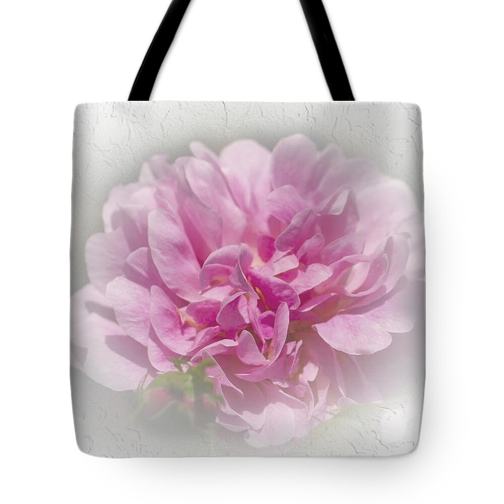 Flowers Tote Bag featuring the photograph The Perfect Rose 2 by Elaine Teague