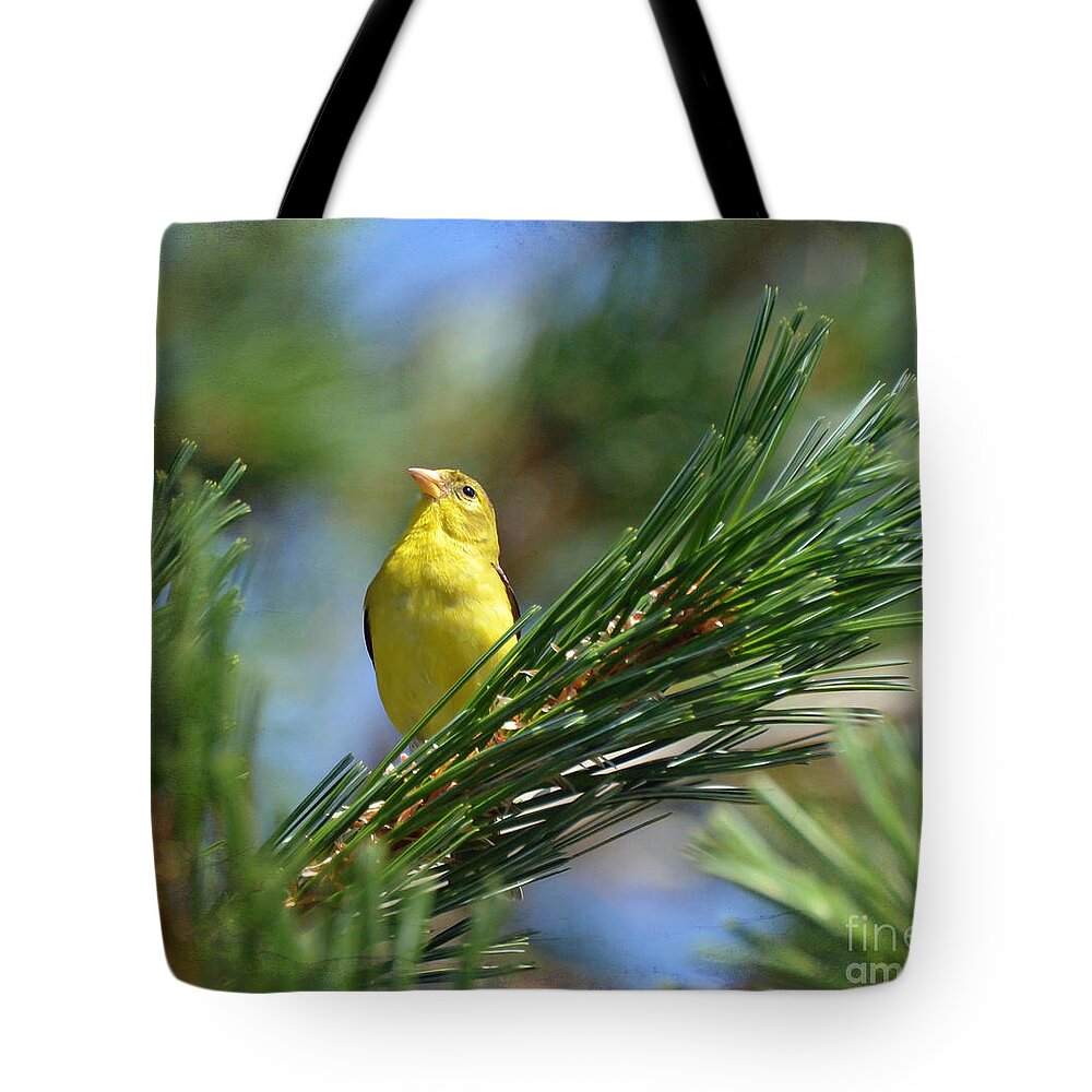 American Goldfinch Tote Bag featuring the photograph Profile In the Pines by Kerri Farley