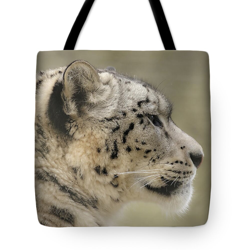 Snow Leopard Tote Bag featuring the photograph Profile of a snow leopard by Chris Boulton