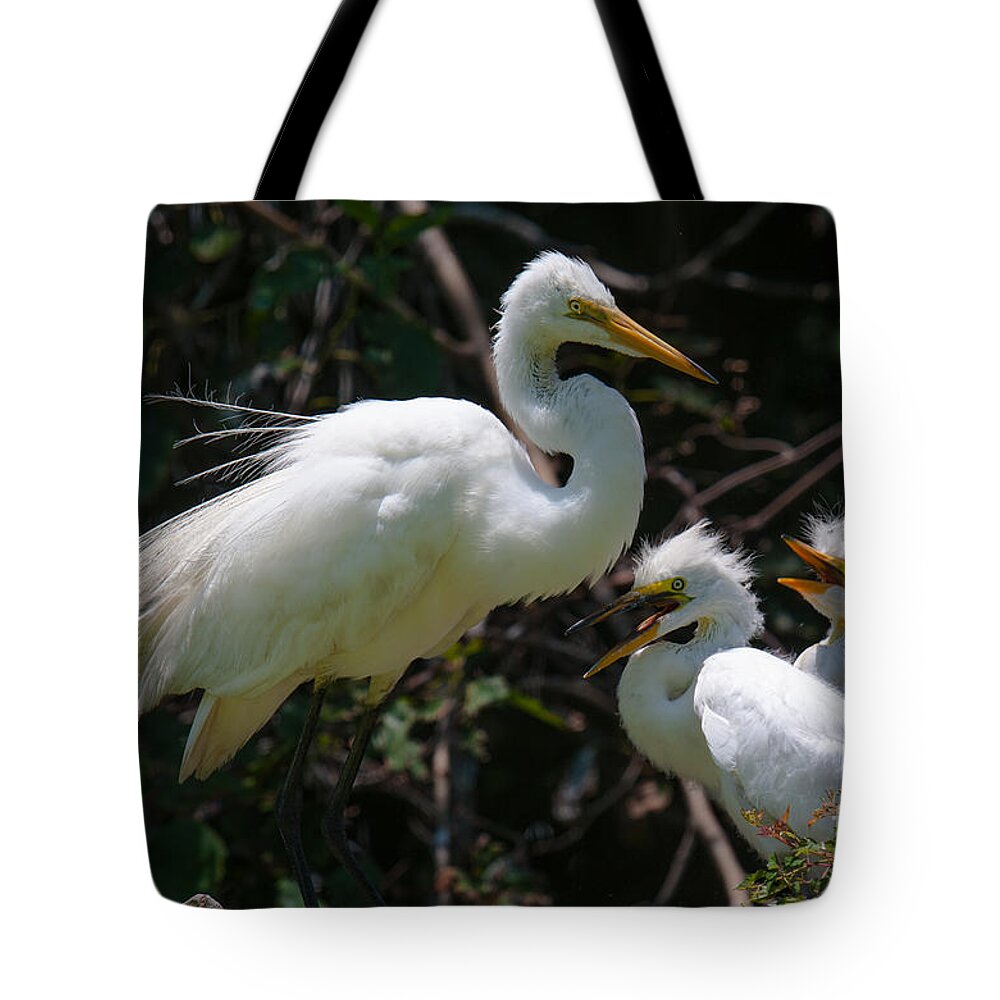 Great Tote Bag featuring the photograph Proud Mama by Dale Powell