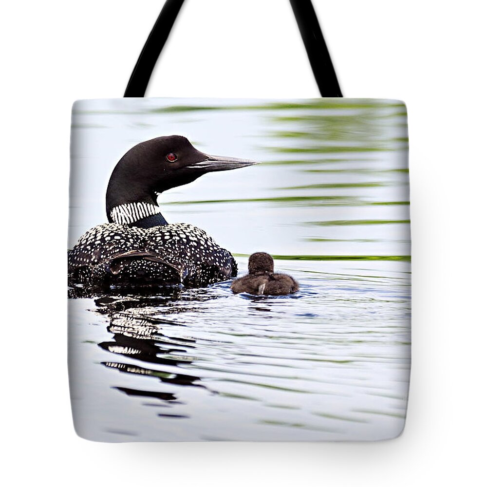 Photography Tote Bag featuring the photograph Proud Parent by Larry Ricker