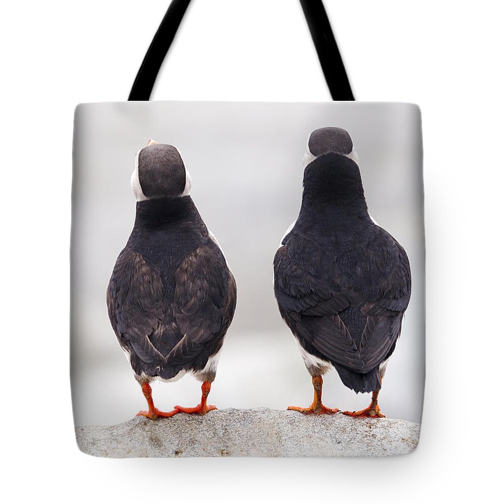 Puffins Tote Bag featuring the photograph Puffin Philosophers by Brent L Ander