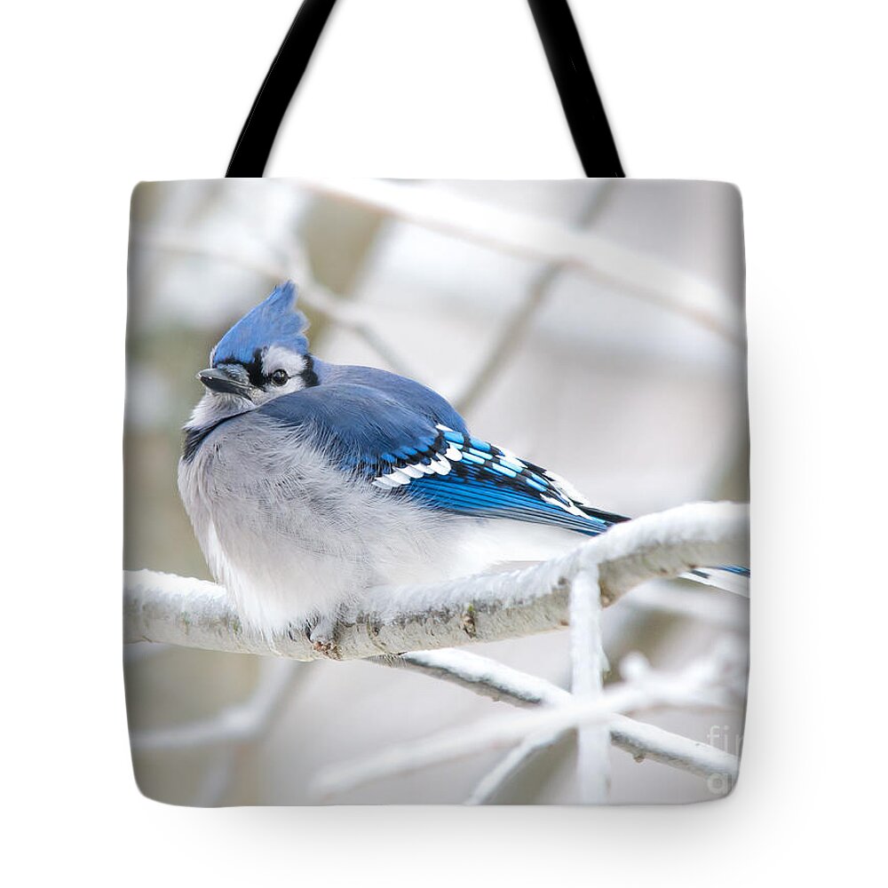 Bokeh Tote Bag featuring the photograph Puffy Blue by Cheryl Baxter