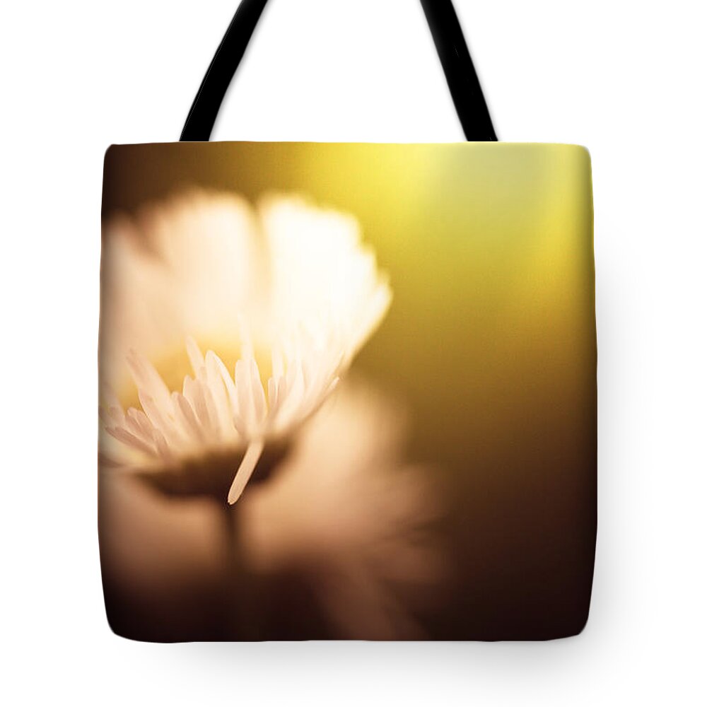 Light Tote Bag featuring the photograph The Warmth Of The Sun by Shane Holsclaw