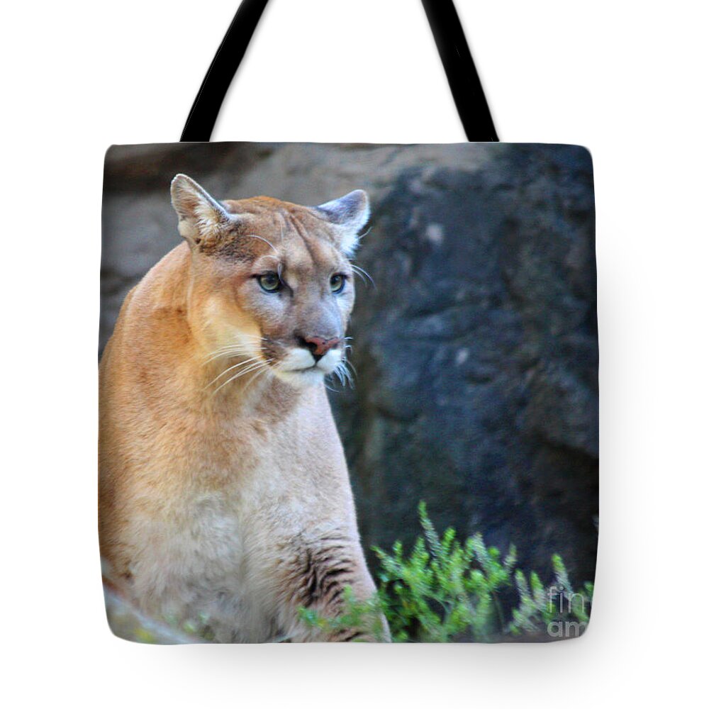 Puma On The Watch Tote Bag featuring the photograph Puma On The Watch by John Telfer