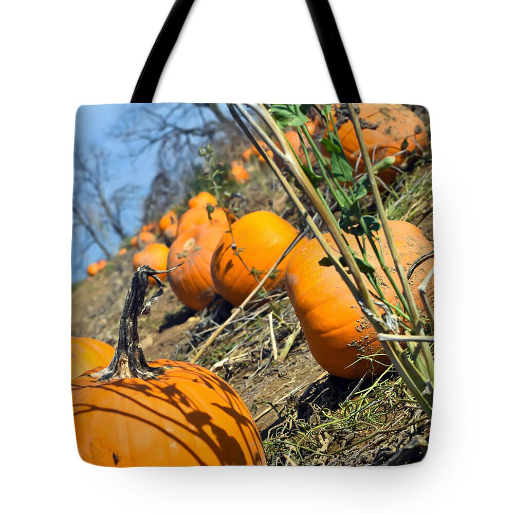 Field Tote Bag featuring the photograph Pumpkin diziness by PatriZio M Busnel