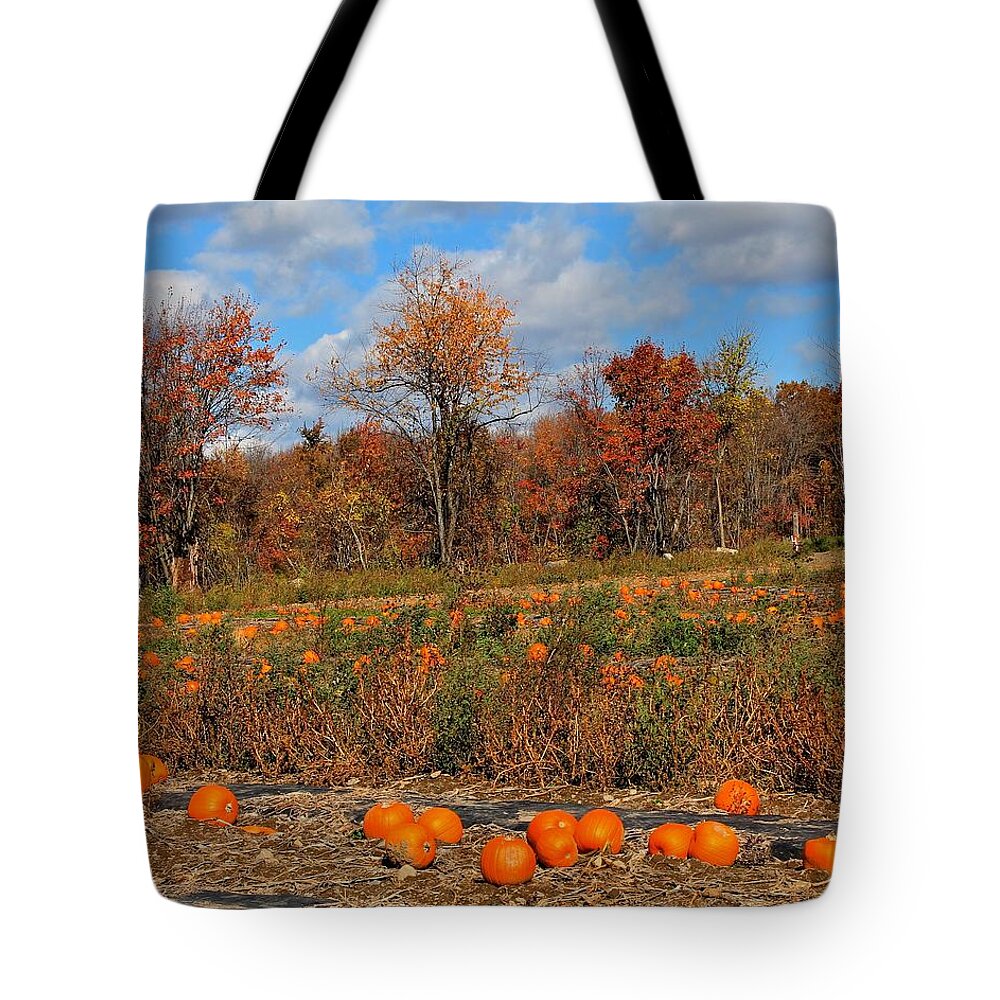 Sterling Ma Tote Bag featuring the photograph Pumpkin Patch at Rota Springs 2 by Michael Saunders