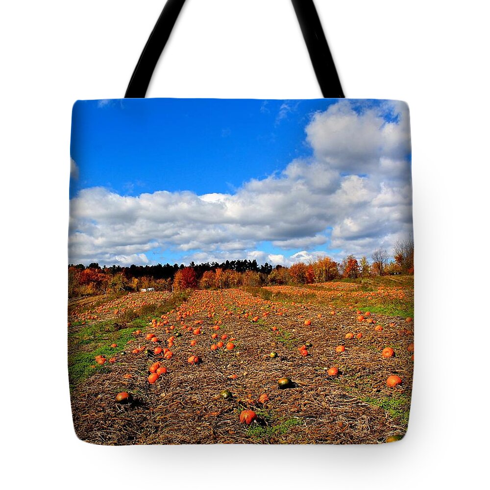 Pumpkins Tote Bag featuring the photograph Pumpkin Patch at Rota Springs by Michael Saunders