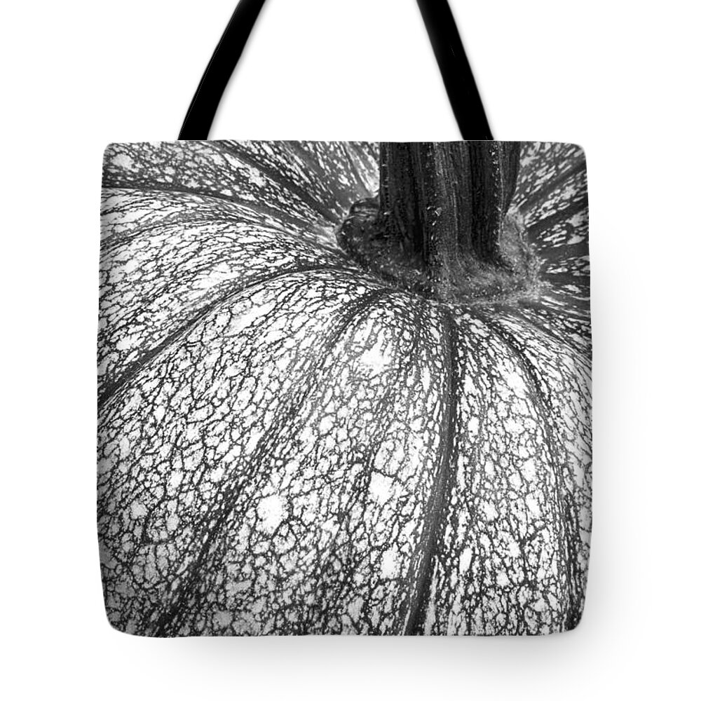 Pumpkin Tote Bag featuring the photograph Pumpkin Pumpkin Black and White by James BO Insogna