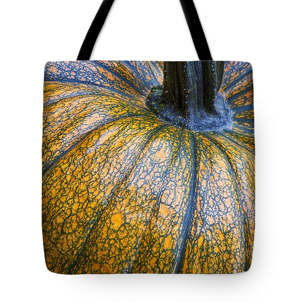 Pumpkin Tote Bag featuring the photograph Pumpkin Pumpkin by James BO Insogna