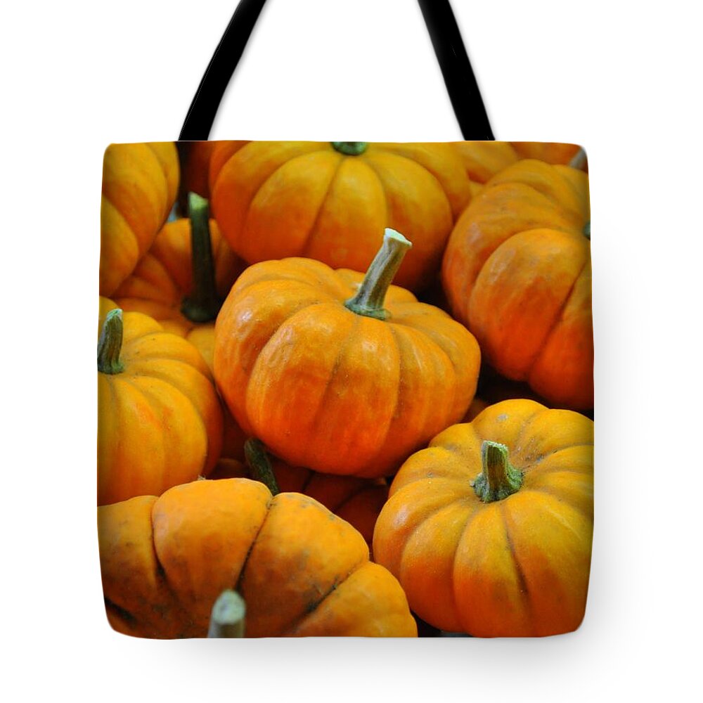 Pumpkins Tote Bag featuring the photograph Pumpkins by Jeff Cook