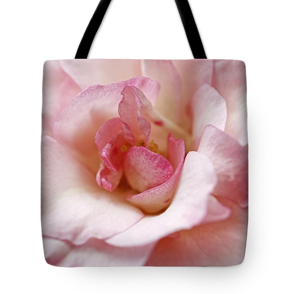 Rose Tote Bag featuring the photograph Pure Rose by Claudia Moeckel
