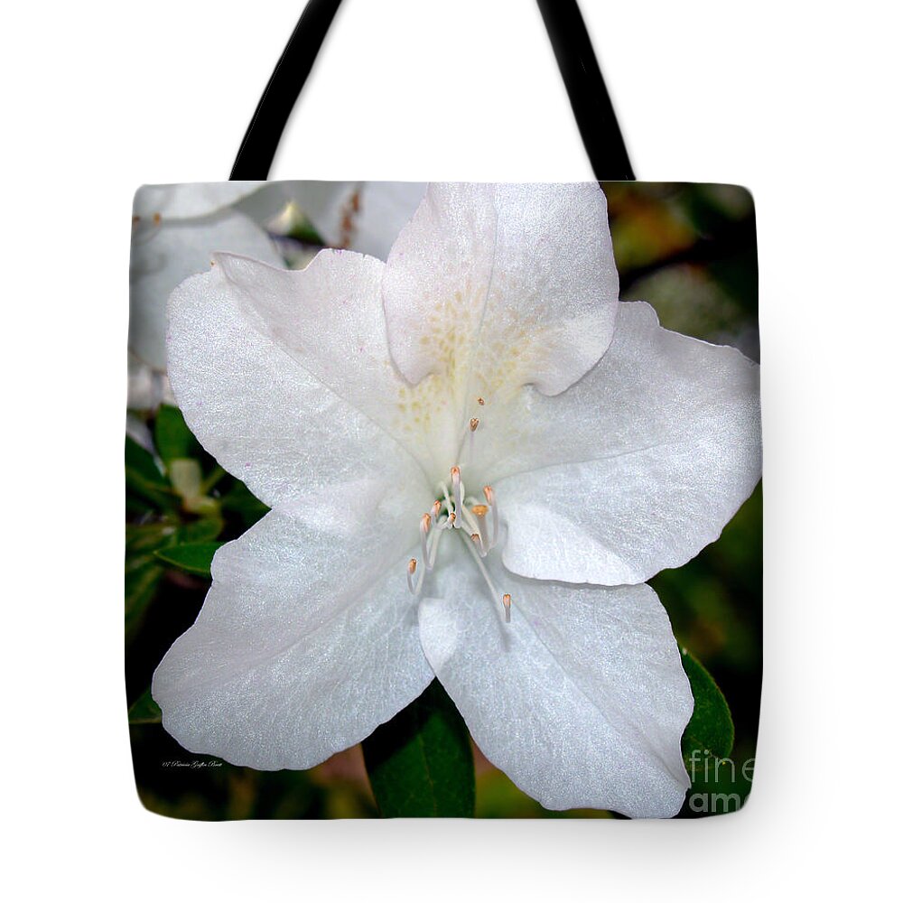 Flower Photography Tote Bag featuring the photograph Purity by Patricia Griffin Brett