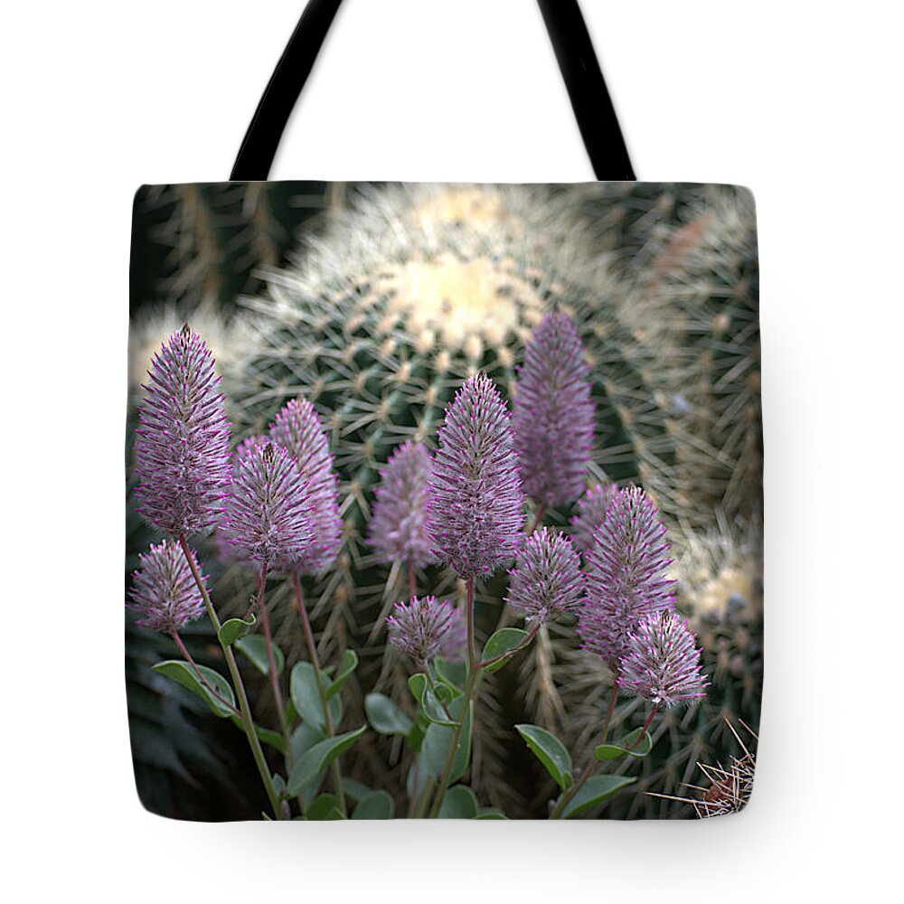 Ptilotus Tote Bag featuring the photograph Purple Beauties Among Cactus II by Sharon Elliott