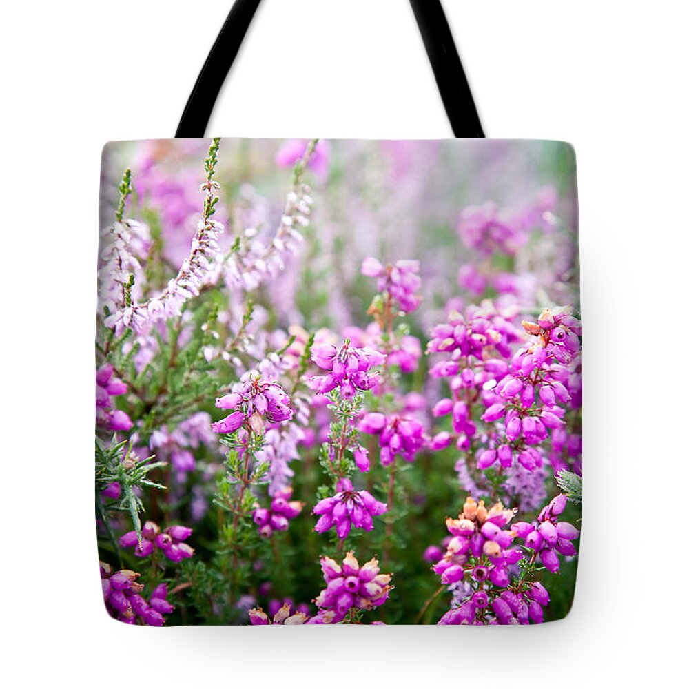  Flower Tote Bag featuring the photograph Purple bell erica heather plants by Simon Bratt