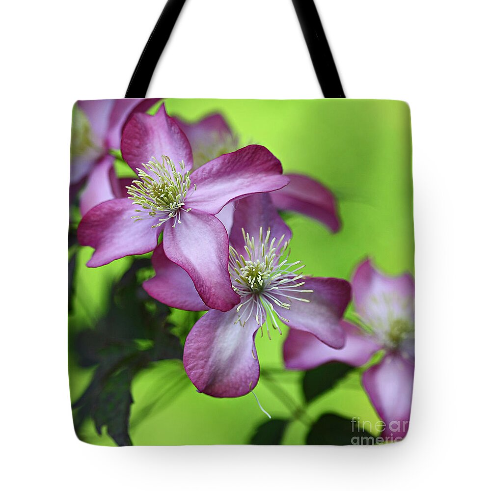 Flower Tote Bag featuring the photograph Purple clematis by Sylvia Cook