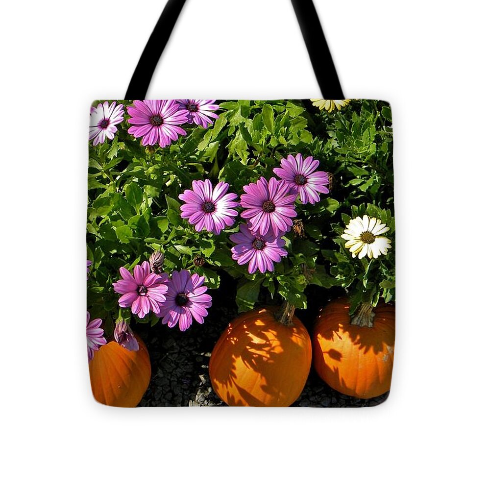 Purple Daisies Tote Bag featuring the photograph Purple Daisies and a Touch of Orange by Jean Goodwin Brooks